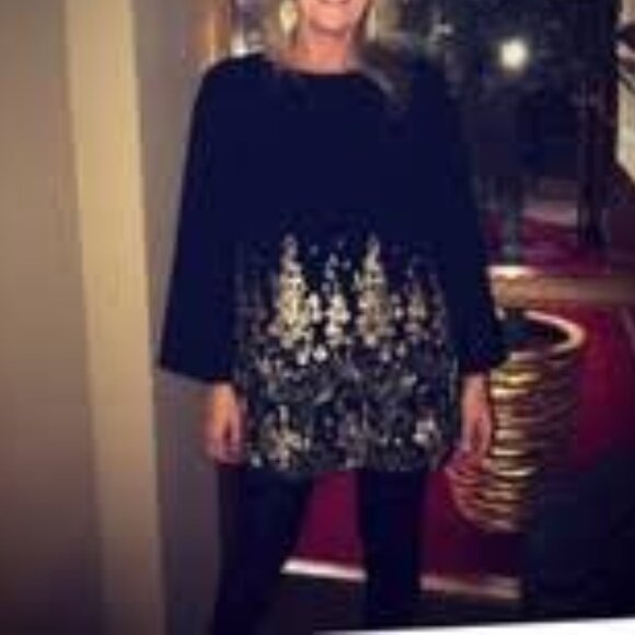 NWOT ZARA Black Long Sleeve Mini Dress with Gold Embroidery - Size M - Picture 4 of 6